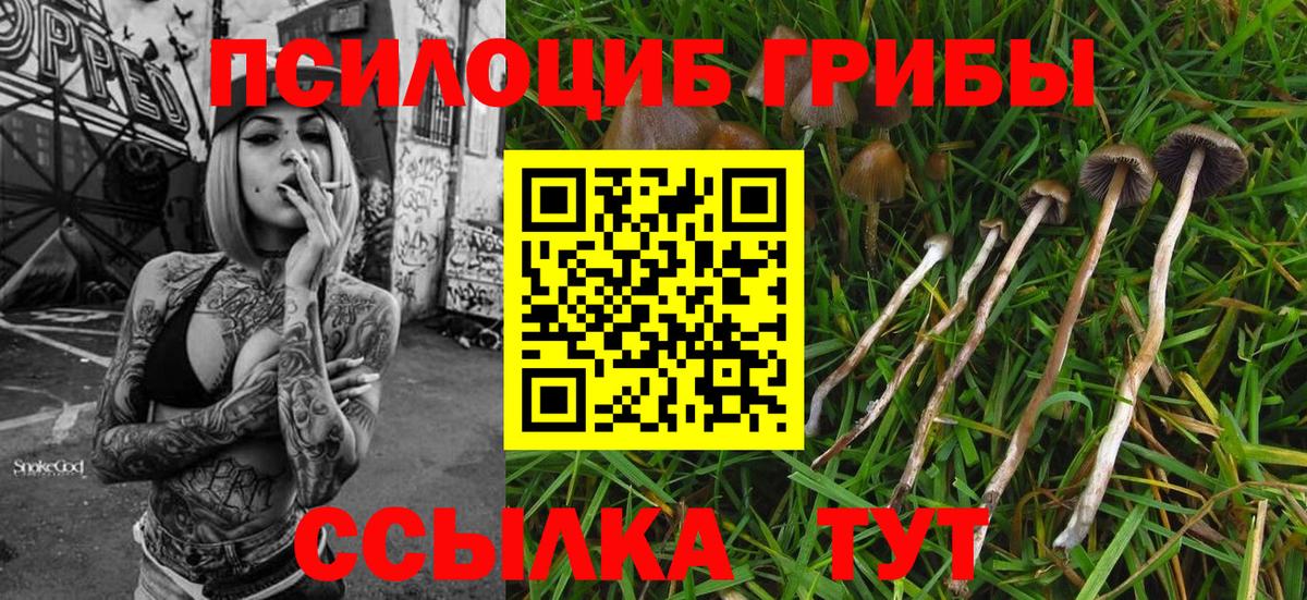Конопля Краснодар