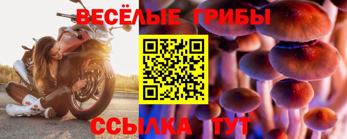 Псилоцибиновые грибы мицелий  Галлюциногенные грибы Cubensis  Вход с VPN  Краснодар 